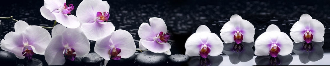 skinali 1144